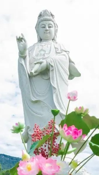 98098j彩票网观音传世经典三日法会通启